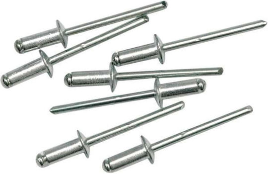 Amtech Nituri Din Aluminiu Diametru 4mm X Lungime 12mm 30 Bucăți