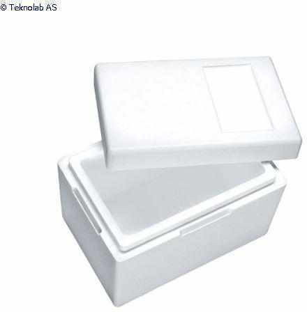 Small Styrofoam Cooler Box for Cake 25x25x8.5