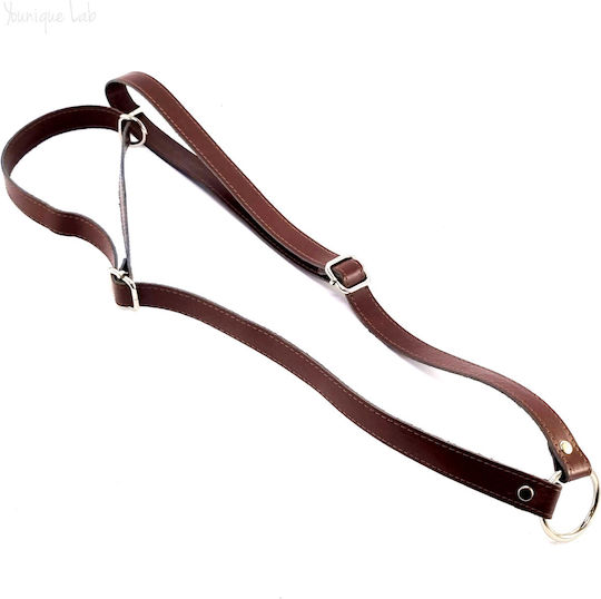 Set of Adjustable Brown Chocolate Backpack Straps Silver Metal Elements