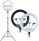 Ring Light 43cm με Τρίποδο Δαπέδου και Βάση για Κινητό