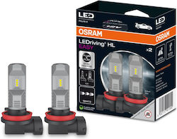 Osram Hl Easy Λάμπα H8 / H11 / H16 LED Ψυχρό Λευκό Osram Hl Easy Λάμπα H8 / H11 / H16 LED Ψυχρό Λευκό