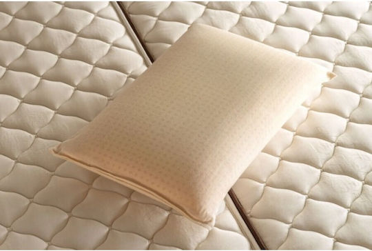 Stromatex Memory Pillow 50x70 Cm Stromatex Memory Pillow 50x70 Cm
