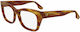 Victoria Beckham Women's Acetate Brown Frame