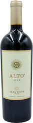 Alta Vista Alto 2020 0.75l