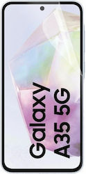 Mobilis Displayschutzfolie