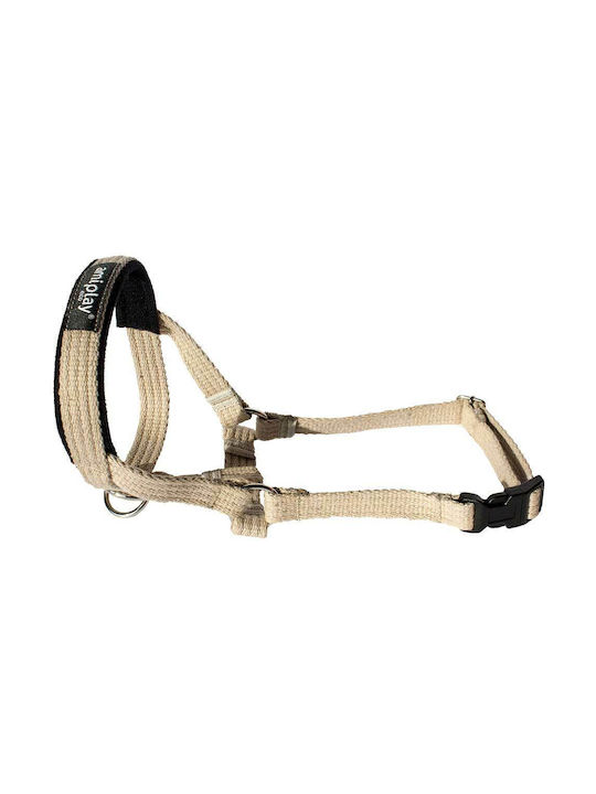 Amiplay Hamuri Pentru Câini Formare Halter Bej Extra Large