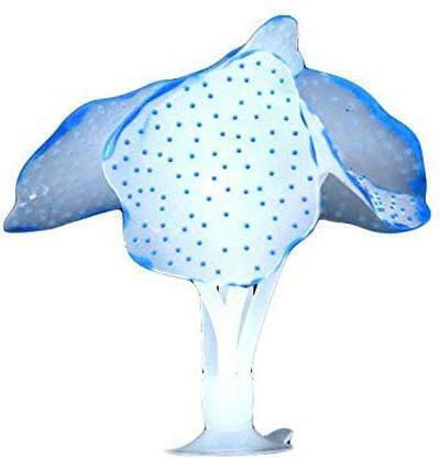 Phosphorescent Silicone Coral Aquarium Decoration Glass Blc08 Corallilum Blue