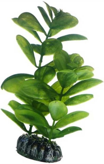 Hobby Plant Saururus Künstliche Pflanze 16 Cm Aquariendekorationen