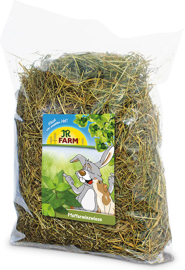 Jr Farm Minz Gras Nagerfutter Minze 500g