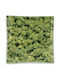V-syndicate Glas Aschenbecher Design Buds