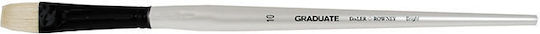 Graduate Bristle Bright Cat Tongue Brush No 10 Lh