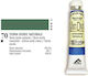 Ferrario Λαδομπογιά 70 Terre Verte Natural 20ml