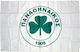 Steagul Panathinaikos Poliester 150x70cm