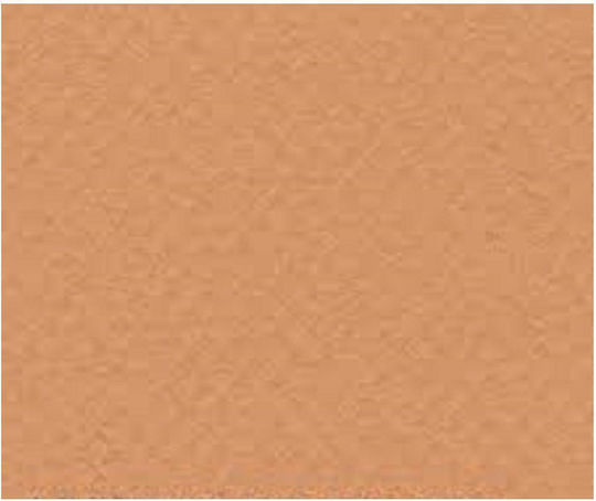Хартия Canson Mi-teintes 384 Сьомга 50x65 см 160 г