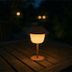 Nattera Tabletop Solar Light with Warm White Li...