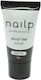 Nailp Professional Gel Νυχιών 113 30gr