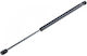 Trunk Shock N.punto 188 5 Doors 127057-317