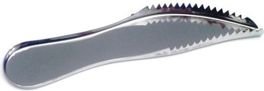 Fish Descaler made of Stainless Steel