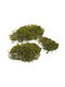 Set of 3 Green Round Moss Pieces