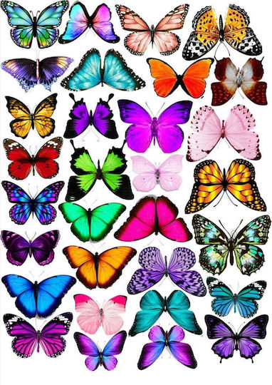 Cake Land Cake Topper Fluturii Wafer Mix Model 1
