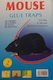 Glue Trap for Mice Ecological Set of 2 Pieces Size 18 x 14 Cm 102534