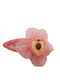 Elecool Kids Hair Clip Fruit in Pink Color
