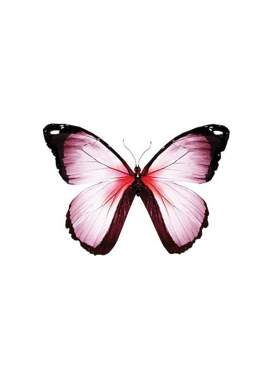 Posters Butterfly Paper 15x20cm