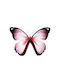Posters Butterfly Paper 15x20cm