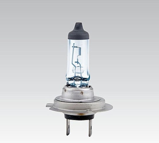 Narva Lămpi Autoturismului & Motocicletei Range Power H7 / H1 Halogen 12V 55W 1buc