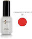 Angelacq Gel Nail Polish Angelacq Orange Popsic...