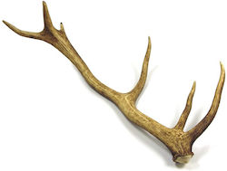 Zebra Hundeleckerlis Horn