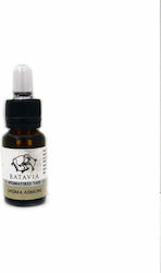 Batavia Άρωμα Λεμόνι 15ml