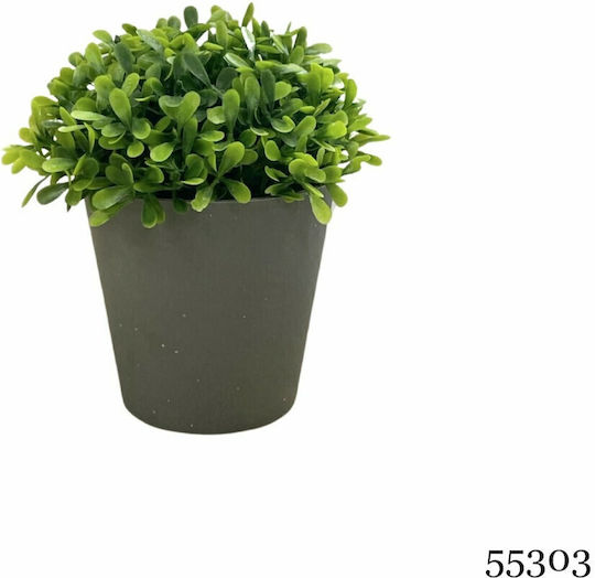 Plantă Artificială Ibergarden Dimensiuni 13x13x15cm Ghiveci Gri