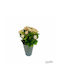 Plantă Artificială Ibergarden Dimensiuni 11x11x22cm Ghiveci Gri Flori Somon