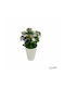 Τεχνητό Φυτό Ibergarden Διαστάσεων 11x11x22cm Λευκό Γλαστράκι Μωβ Άνθη