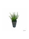 Plantă Artificială Ibergarden Dimensiuni 11x11x22cm Ghiveci Gri Flori Albe