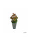 Plantă Artificială Ibergarden Dimensiuni 10x10x22cm Ghiveci Gri
