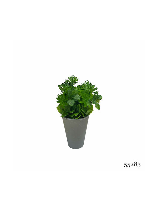Plantă Artificială Ibergarden Dimensiuni 10x10x22cm Ghiveci Gri