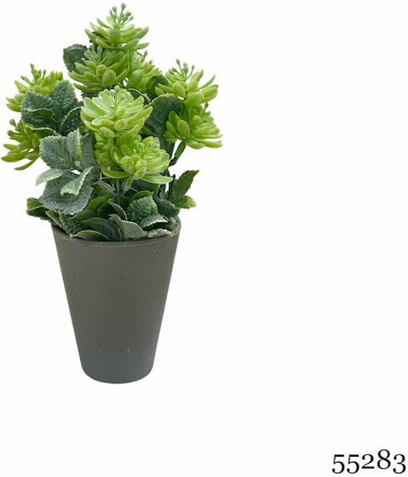 Plantă Artificială Ibergarden Dimensiuni 10x10x22cm Ghiveci Gri Cod 55283