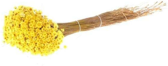 Dried Wisteria Flower Yellow 50gr