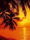 Tapet De Perete Tropical Sunset Closeup 366x254cm