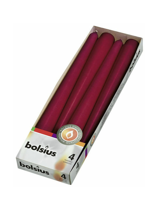 Taper Candle Bolsius 245/24mm 4 Pieces Burgundy