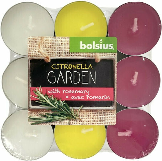 Tealights Citronella Garden with Rosemary Scent up to 4 Hours Duration 18 Pieces