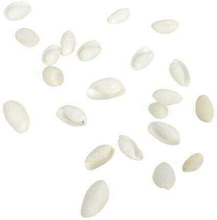Decorative Seashells Hintatina Nature 1kg White