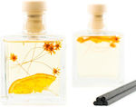 Botanical Diffuser 50 Ml Black Fiber Sticks Βασ...