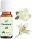 Sueño Aroma Fragrance Oil Deep White Musk Αρωματικό Έλαιο Λευκός Μόσχος & Κρίνο 12ml