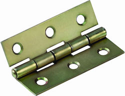 Thin Hinge Iridium 50x34mm