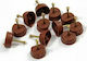 Nail-On Shelf Pads 10 Pieces Brown