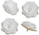 Rose Decor Dekorative Knusperkugeln Weiße