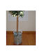 Handmade Cylindrical Crystal Vase 25x22 Cm
